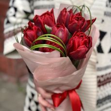 Букет 7 червоних піоновидних тюльпанів